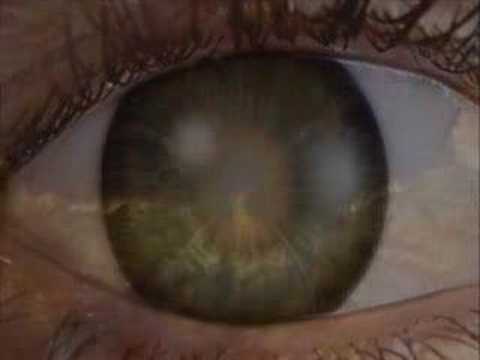 March of the Buscemis