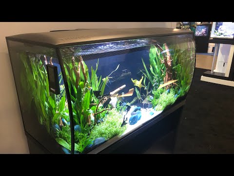 Hagen FLUVAL LIRNIK 406 video