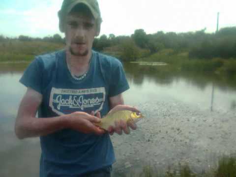 Carp tench bream roach rudd fishing at a local pond