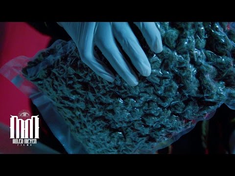 Shan G Da Chef "Jabroni" (@MilesMeyer Exclusive - Official Music Video)