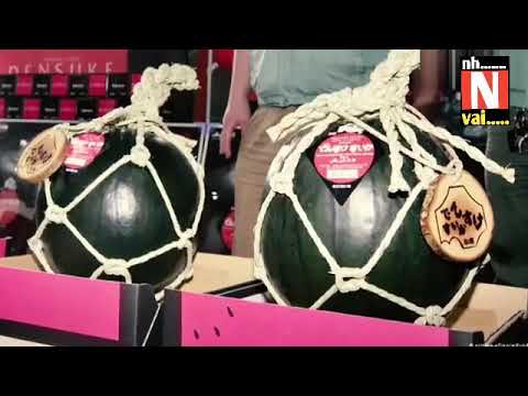 ৪ লক্ষ্য টাকা দামের তুরমুজ!দেখলে অবাক হবেনঃ nh vai shorts : nirob new video