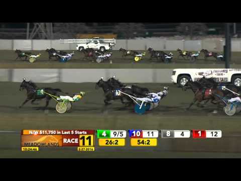 Meadowlands February 27, 2016 - Race 11 - Pansformative
