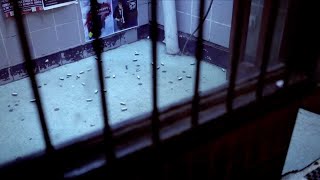 Bug out to FABRICLIVE 61: Pinch