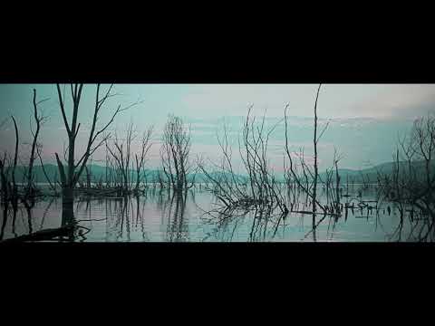 HGEMONA$ - “ Plata Ø Plomo “ Prod. By HV$K (Official Music Video)