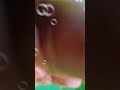 Dikhou Noi Aribo Nuwaro Popular Bihu Song