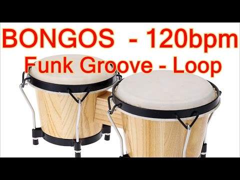 download lagu mp3 mp4 Bongo Loops, download lagu Bongo Loops gratis, unduh video klip Bongo Loops