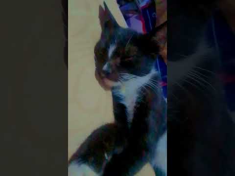 ❤️❤️❤️❤️❤️❤️❤️❤️❤️❤️🧡🧡🧡🧡🧡🧡🧡🧡🧡🧡💛💛💛💛💛💛💛💛💛💛💚💚💚💚💚💚💚💚💚💚🩵🩵🩵🩵🩵🩵🩵🩵🩵🩵💙💙💙💙💙💙💙💙💙💙💜💜💜💜💜💜💜💜💜💜