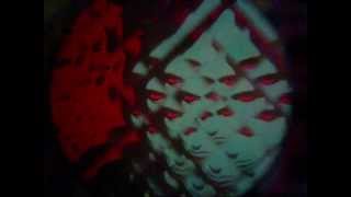 Iggy and the Stooges ~ Till the End of the Night (filmed by Midas Wilder)