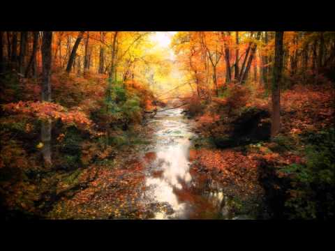 Mark Slee - Canvas (Marshal Watson's Acid Sloth Remix)