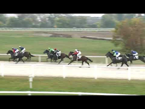 2020.10.25. 09. futam - AMOREENA HENDIKEP (V/b.) (szintetikus pálya)