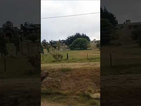 Los Quimbaletes  Villa Giardino, Punilla, Córdoba, Argentina.#villagiardino