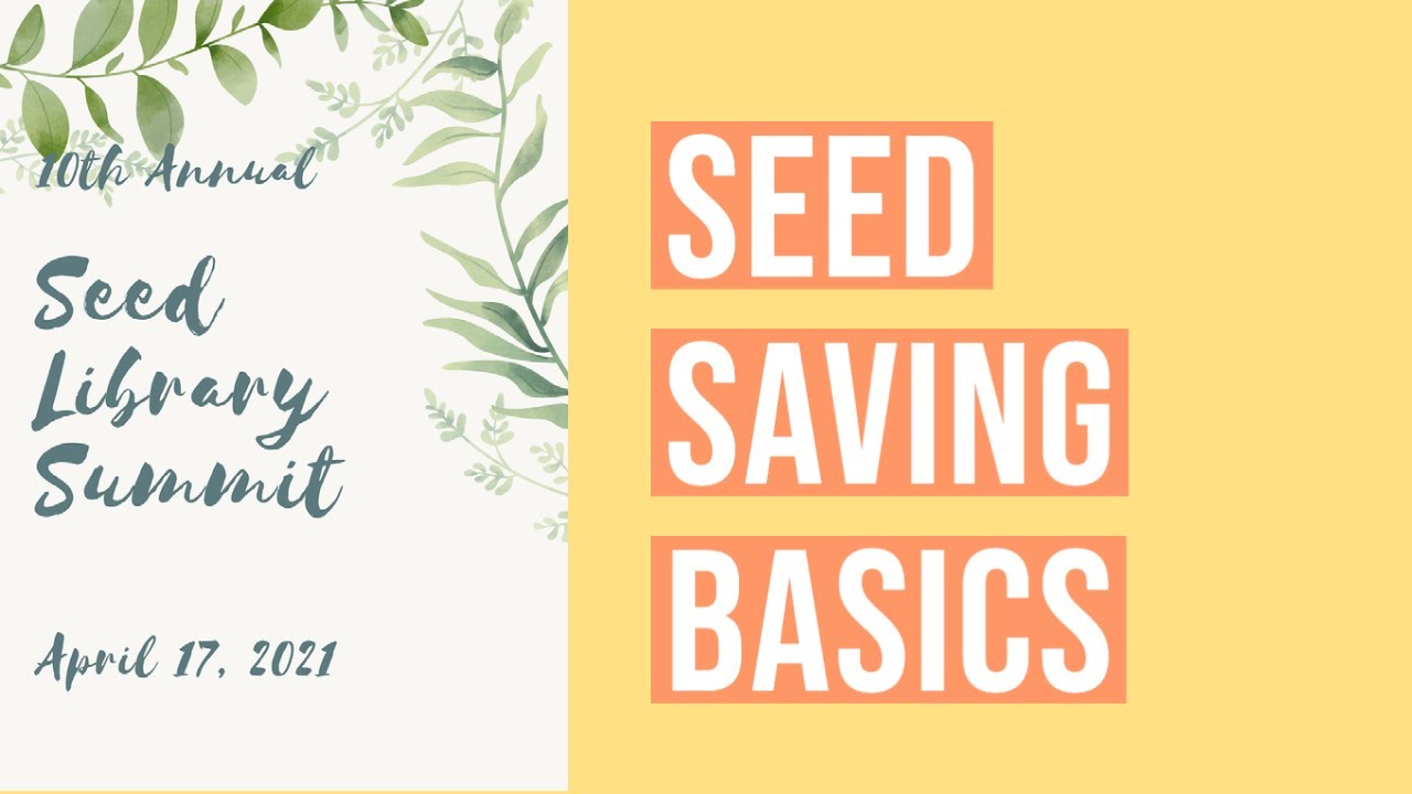 Basic Seed Saving Seed Library Summit 2021