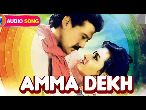 Amma Dekh Tera Munda Bigada Jaaye || audio song hindi new song || Shahrukh bhai dj song