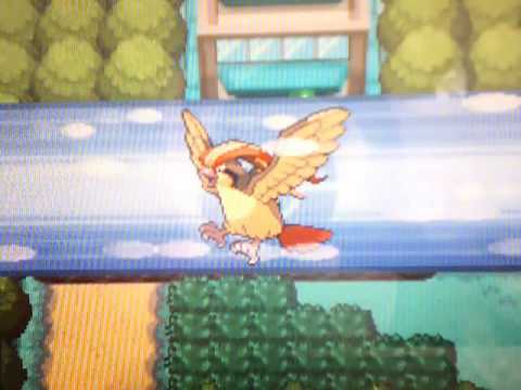 Pokemon SoulSilver Walkthrough Part 75: Johto Gym Leaders' Phone Numbers