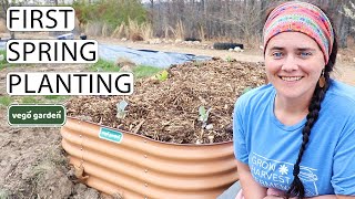 Spring Planting Homestead VLOG With Vego Garden Raised Bed | Fermented Homestead