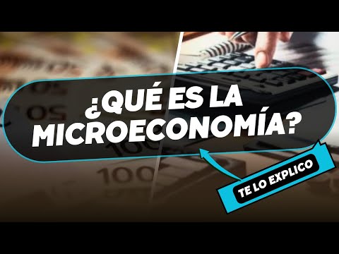 ¿Qué es la Microeconomía? Explicación Fácil y Rápida