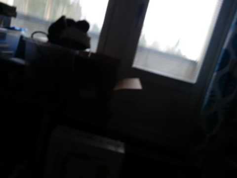 Keittelin vielä iltakahvit