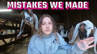 How We Prepared For Our First DAIRY GOAT SHOW | What we wish we knew and brought before going