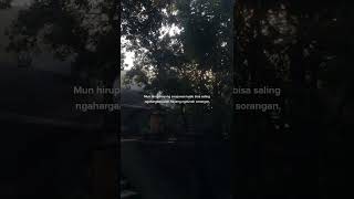 Download lagu story' wa 30 detik | bahasa Sunda mp3