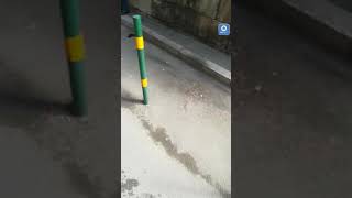 tentata-rapina-a-salerno-pistola-abbandonata-in-strada