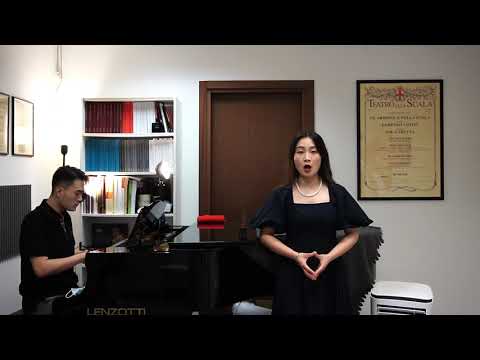 zhangyichen Seidler n.14