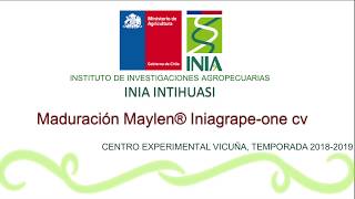 Timelapse Maylen® Iniagrape-one cv.