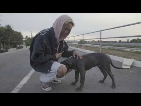 Video thumbnail for ​eternal + sunshine