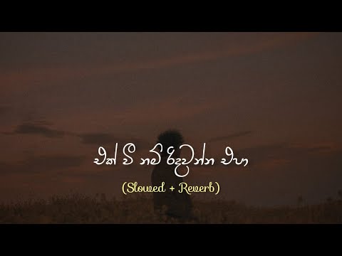 එක් වී නම් රිදවන්න එපා | Ek Wee Nam Ridawanna Epa ( Slowed + Reverb )