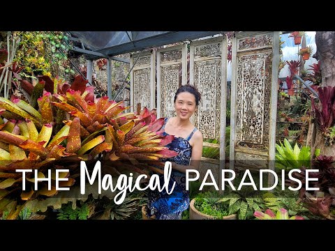 Peek into The ARTIST's Garden | Garden Design Ideas & Plant Care Tips @ART & GARDEN ft Fuan Wong