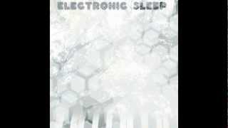 Electronic Sleep - Auroral Activity