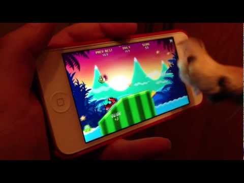 Chihuahua plays RAT ON A JET SKI - YouTube