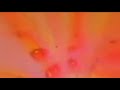 The Savage Resurrection - Someone's Changing (CA.1967) Psychedelic Garage Rock