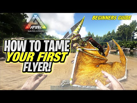 ARK Beginners Guide Series - How To Tame Your First Flyer!