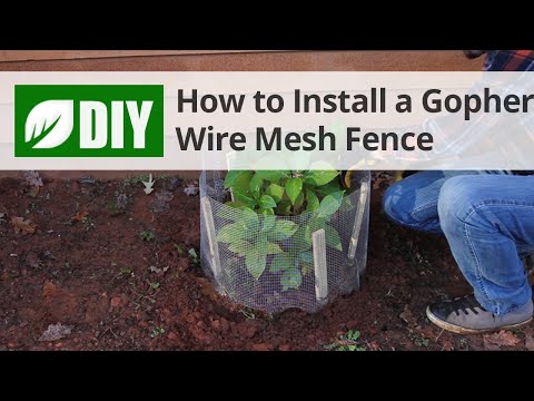  How to Install a Gopher Wire Mesh Fence  Video 