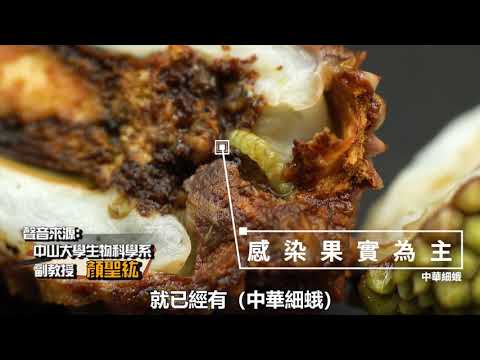 荔枝細蛾防治策略與燈光驅避示範觀摩影片
