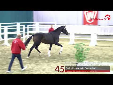 45 Junghengst v. Zack - Florenciano