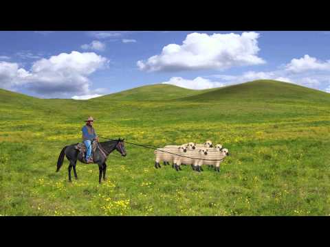 Intro to Screen Scraping Data Wranging with MongoDB