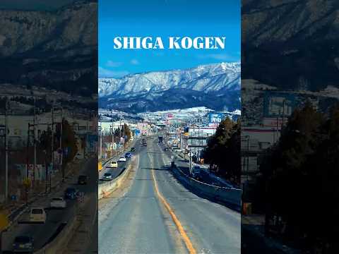 Best Japanese Ski Resort Shiga Kogen. Japan&#39;s largest ski resort. 50 lifts 18 areas⛷️🎿