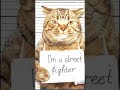 Haha Funny Cats Fight Short Thx For 65 Sub