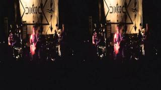 Sleepytime Gorilla Museum - Final Show - Powerless - 3D Footage - April 10th 2011