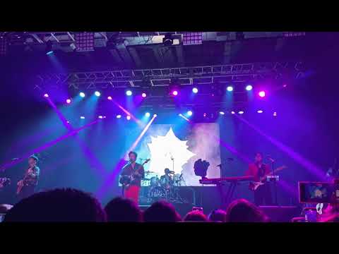 Candy The Rose 221116