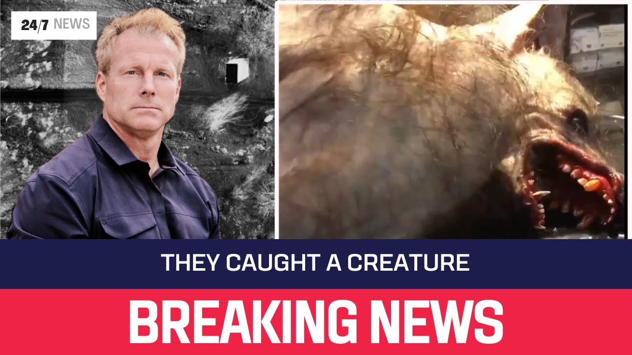 YouTube Thumbnail Downloader FULL HQ IMAGE