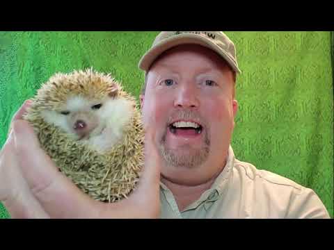 VIDEO NTGD Save Date Promo WOTM20