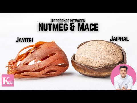 Difference between Javitri & Jaiphal जावित्री जैफल में फरक Mace & Nutmeg | Kunal Kapur Indian Spices