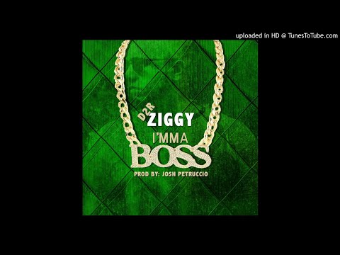 D2R Ziggy - Imma Boss
