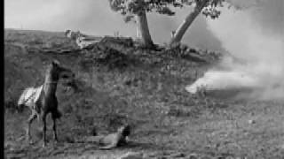 Gone With the Breeze