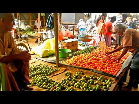 , title : 'Sri Lanka,ශ්‍රී ලංකා,Ceylon,Matara,Market,Vegetables,Fruits,Fish,Meat,Poultry,Stainless Steel Screws'
