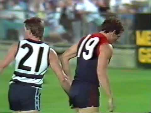 1989 VFL night grand final  Melbourne Vs Geelong at VFL Park