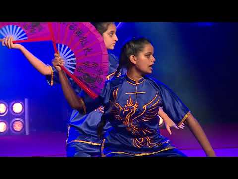 Visakha Vidyalaya Colours Night 2019 / 2020 - Karate, Gymnastic & Wushu Performance.