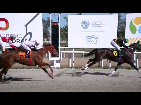230804 c02 - SIMBAD - HIPODROMO LAS PIEDRAS